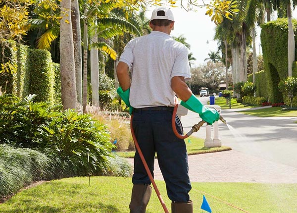 About Hallsboro NC Pest Control